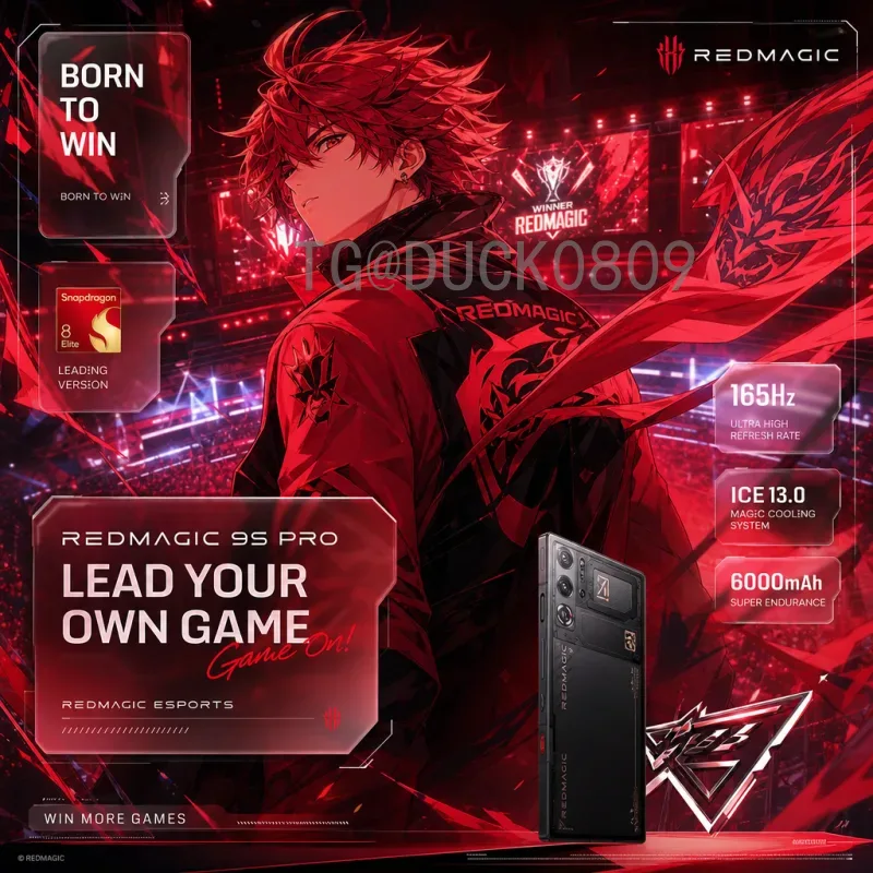 比利时世界杯征程全解析：从黄金一代到新老交替，红魔军团能否再创辉煌？